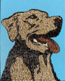 [Tom Rainey Beckett, a Great Dog.jpg image]